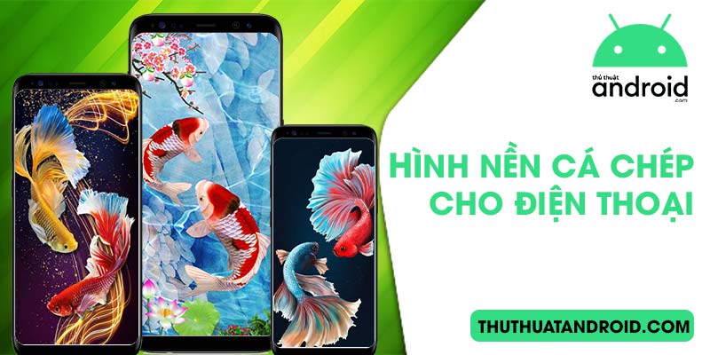 hình nền cá chép cho điện thoại