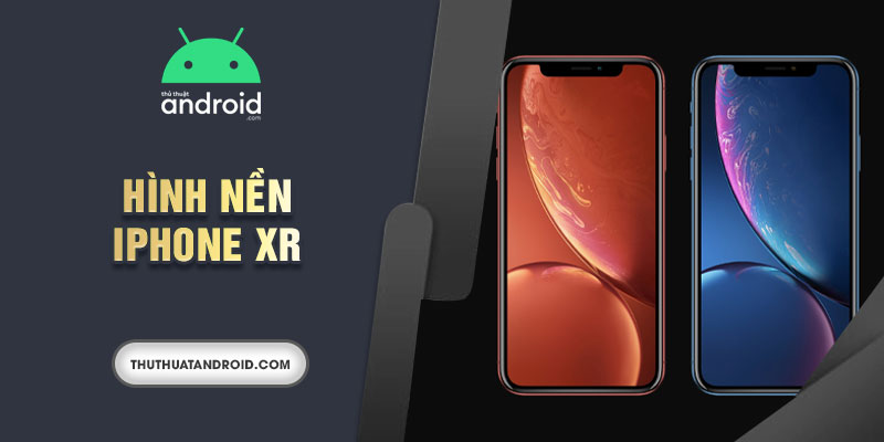 hình nền iphone xr