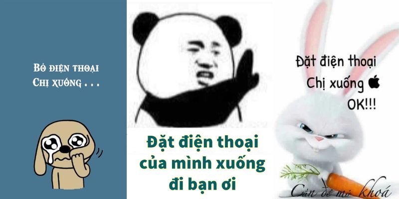 hình nền bỏ điện thoại chị xuống