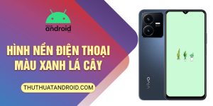 hình nền điện thoại màu xanh lá cây