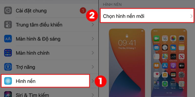 hình nền điện thoại cỏ 4 lá