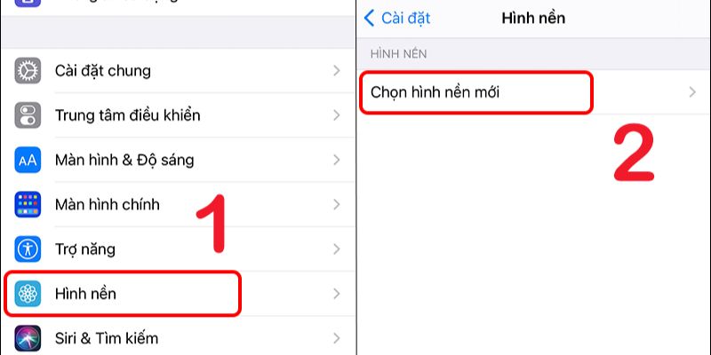 hình nền điện thoại hoa bỉ ngạn