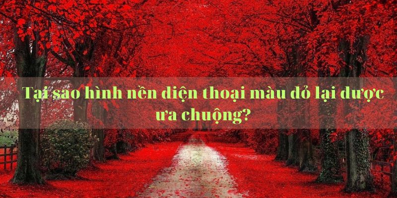 hình nền điện thoại màu đỏ đẹp