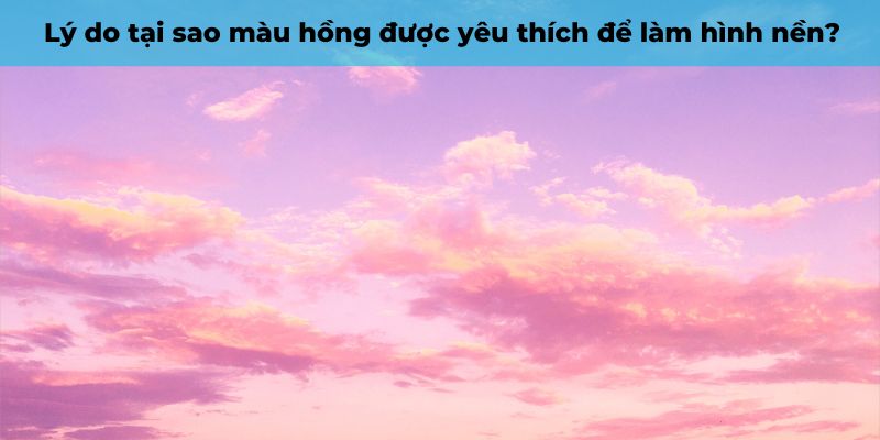 hình nền điện thoại màu hồng