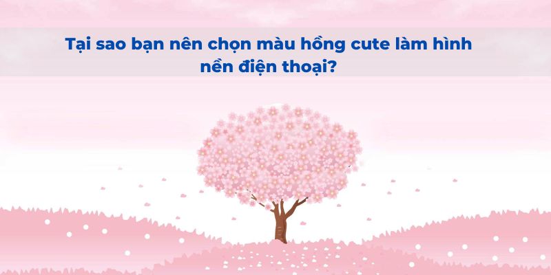 hình nền điện thoại màu hồng cute