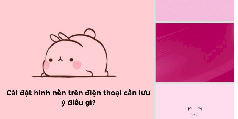 hình nền điện thoại màu hồng cute