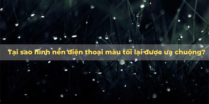 hình nền điện thoại màu tối