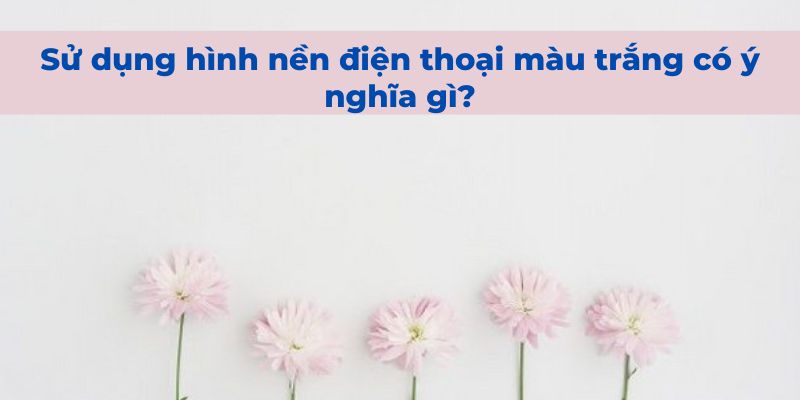 hình nền điện thoại màu trắng