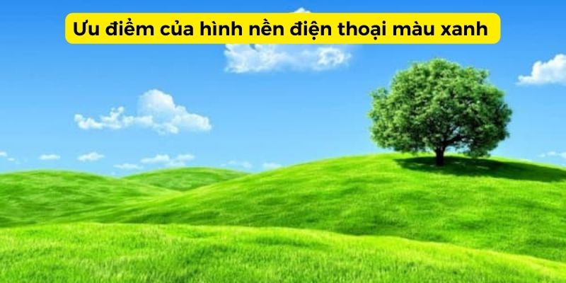 hình nền điện thoại màu xanh