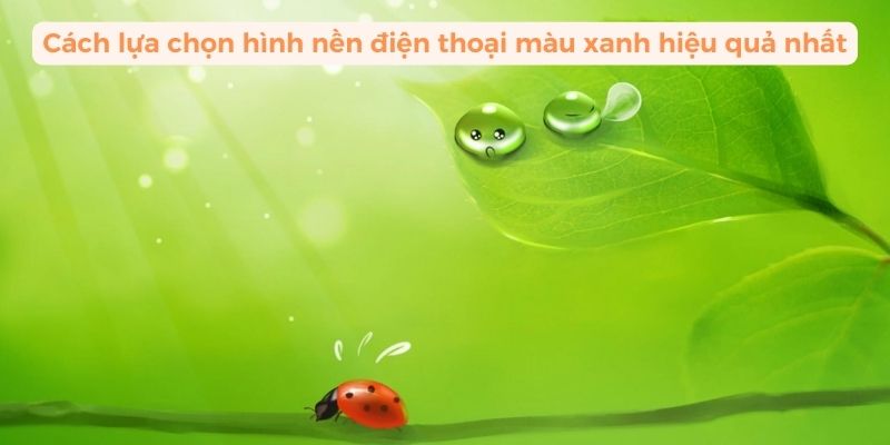 hình nền điện thoại màu xanh